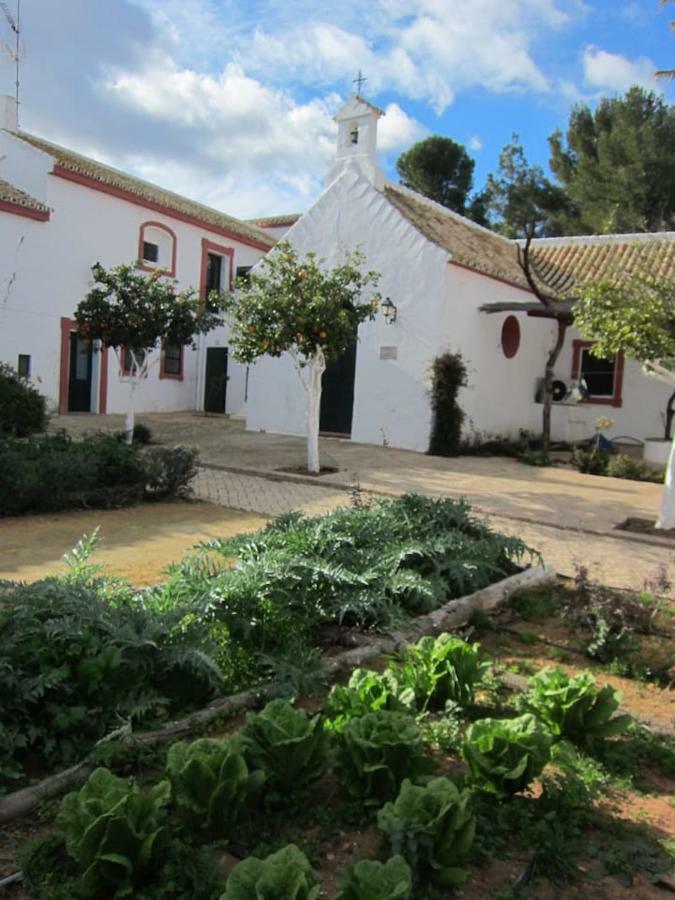 Cortijo El Triguero N-398 Ctra Carmona - El Viso Del Alcor Km 18 Villa Buitenkant foto